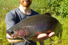 Sverkesta4
